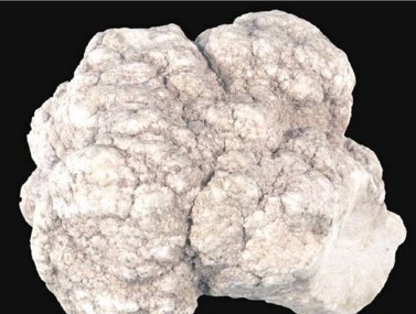 淄博白硼鈣石